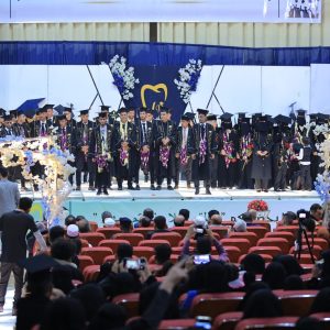 img-g-g (184)